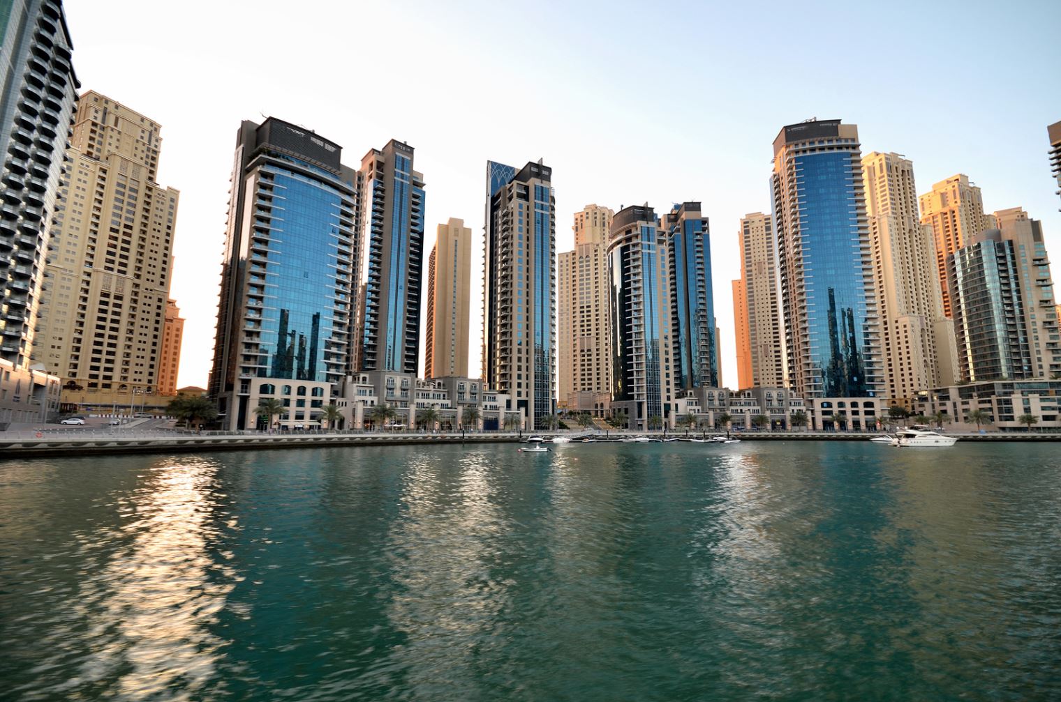 تتوقع دراسة أن تنمو الشركات بنسبة 66٪ في دبي سنويا