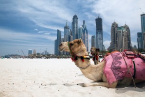 الإمارات تضخ استثمارًا بقيمة 40 مليار دولار في المشاريع السياحية