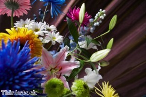 زراعة 30 مليون زهرة في دبي هذا العام