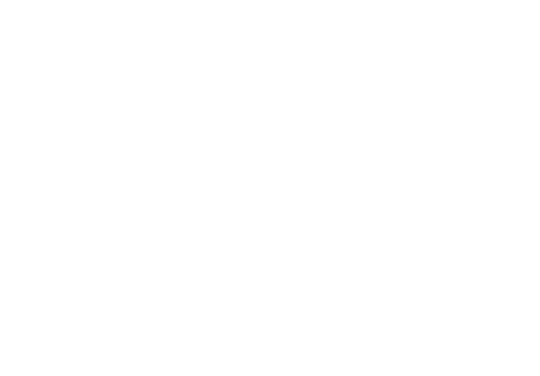 Emirates Skywards