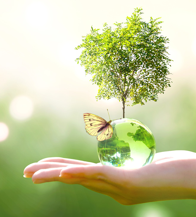 La conférence internationale COP28 va mettre en lumière l’ambitieux agenda écologique des EAU