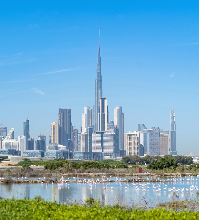 دبي تعرض أجندة السياحة المستدامة تمهيدًا لانعقاد مؤتمر الأمم المتحدة المعني بتغير المناخ (COP28).