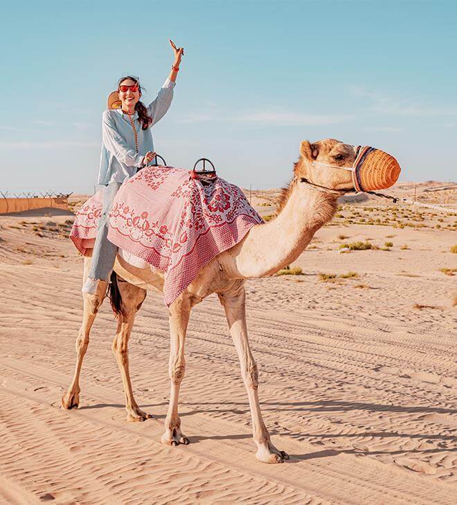 Dubai Camel