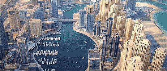 زيارة استثمارية لدبي