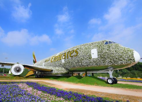 Dubai Miracle Garden