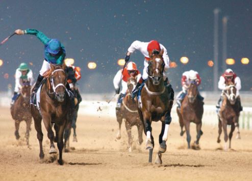 Horse racing at Meydan