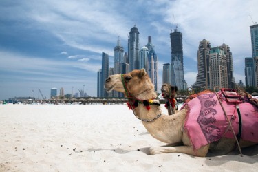 Dubai's Tourism Vision 2020 'on track for success'