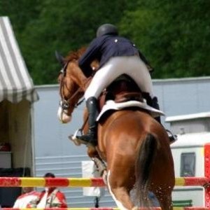 Dubai Show Jumping Championship gets underway